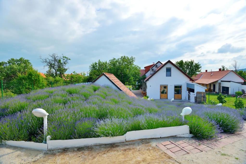 Levendula Vendeghaz Lovas Villa Ngoại thất bức ảnh